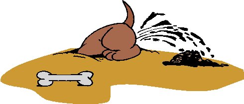 dogdigging.jpeg