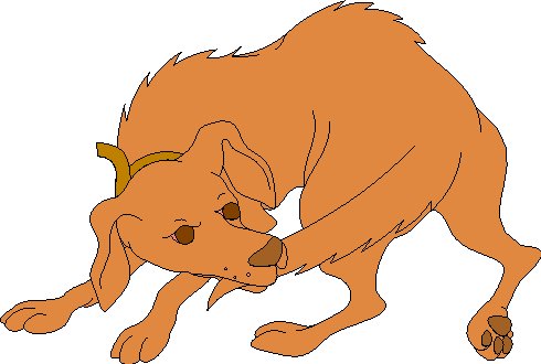 dogtail.jpeg