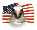 eagleflag.gif