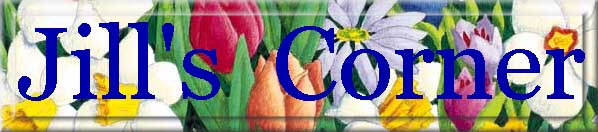 jillscornerbanner.jpg